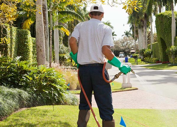 About Titusville PA Pest Control